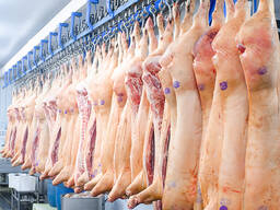 Pork Meat For Sale - Spanish Pork