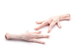 Processed Frozen Chicken Feet