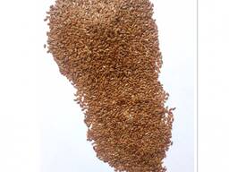 Продается семена сафлора, льна коричневого, ячмень.