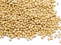 Продам сою ГМО, не ГМО