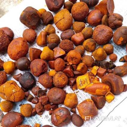 Quality Ox Gallstones Cattle Gallstones Cow Gallstones Buy Cow GallStones
