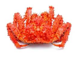 Red King Crab