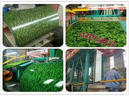 Ремонт и отделка PPGI /Стальные рулоны с полимерным покрытие