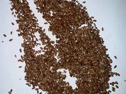 Семена льна