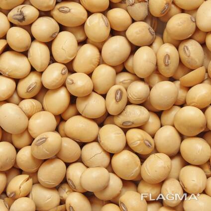 Soybeans