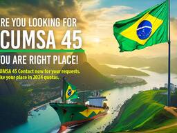 Sugar Icumsa 45
