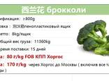Продаем свежие фрукты и овощи из Китая - фото 9