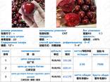 Продаем свежие фрукты и овощи из Китая - фото 15