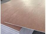 Многослойная фанера (Commercial plywood) - фото 1