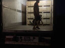 Услуги грузоперевозки с Алашинкоу , Хоргос- Европа