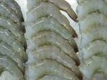 Vannamei Shrimp — Frozen Seafood Supply - photo 1