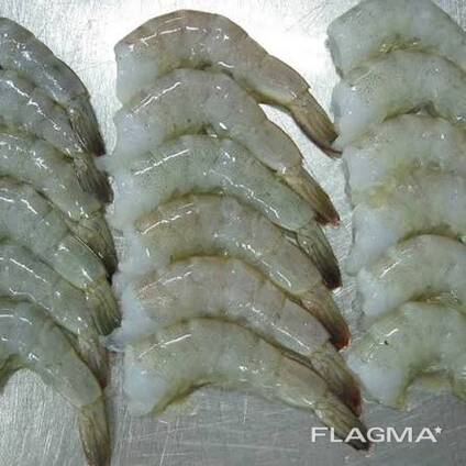 Vannamei Shrimp — Frozen Seafood Supply