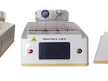 Veterinary Laser Therapy Equipment - фото 2
