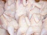 Frozen Chicken Drumstick Chicken Legs - photo 1