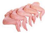 Wholesale Frozen Chicken Feet/Paws /drum stick - фото 3