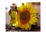 Wholesale sunflower oil price per ton Affordable sunflower seed oil wholesale - фото 6
