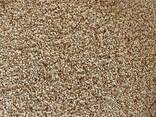 Export Quality White Sesame Seeds - Thailand - $350/MT - фото 1
