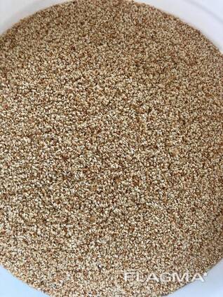 Export Quality White Sesame Seeds - Thailand - $350/MT