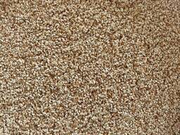 Thai White Sesame Seeds - 10MT Min - Buyer-Specified Packaging
