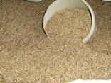Wood Pellets for Heating ENplus A1 - photo 1