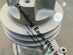 XCMG WZ30-25 Насос водяной B8800-1307100C